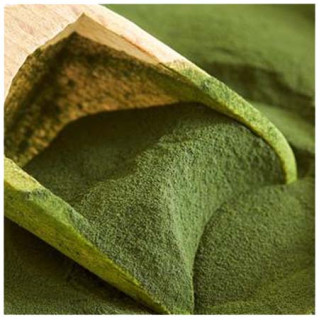 Chlorella