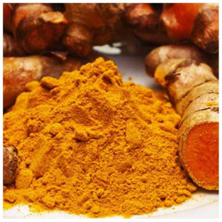 Curcuma