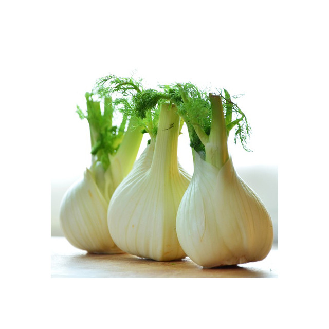 Fenouil