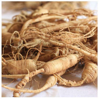 Ginseng