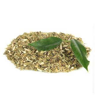 Maté