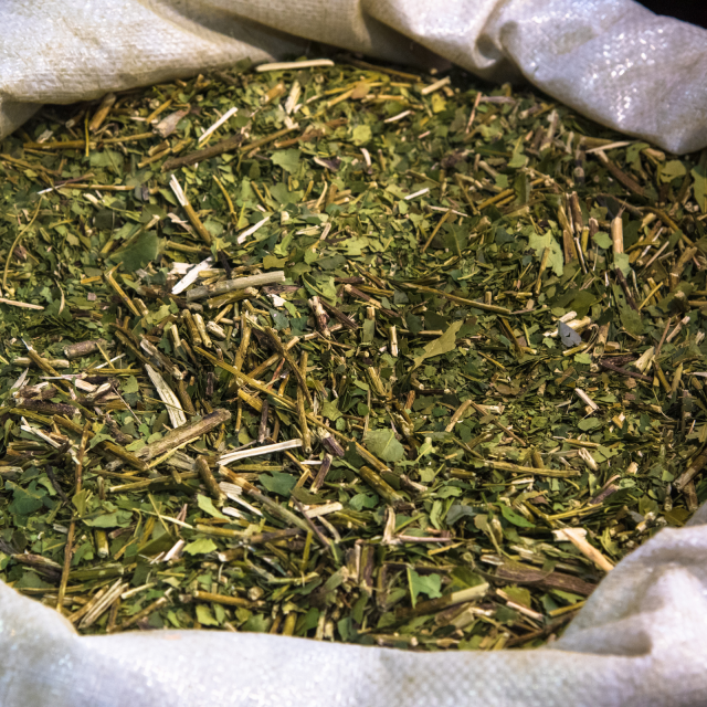 Maté