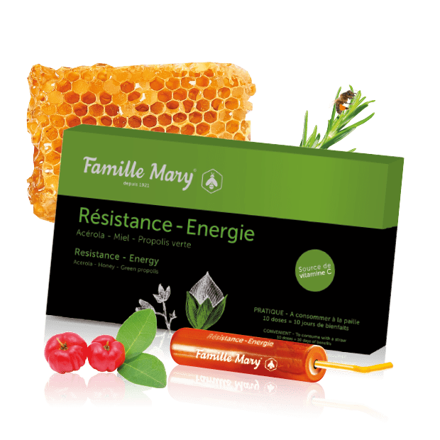 ampoules résistance énergie - Famille Mary