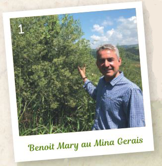 Benoit Mary au Brésil