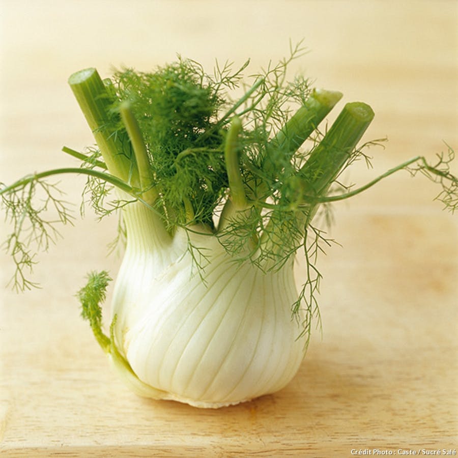 fenouil