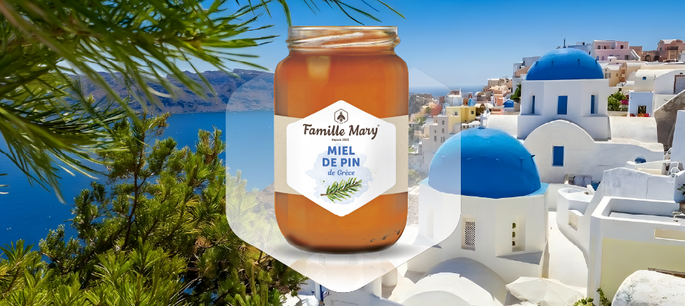 Offre spéciale : miel de pin de Grèce