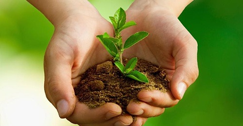 Préservation de la planète et de l'environnement