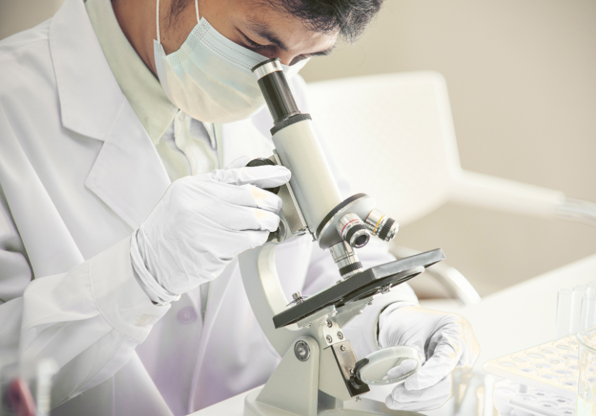 Quand les médecins écrivent sur le miel