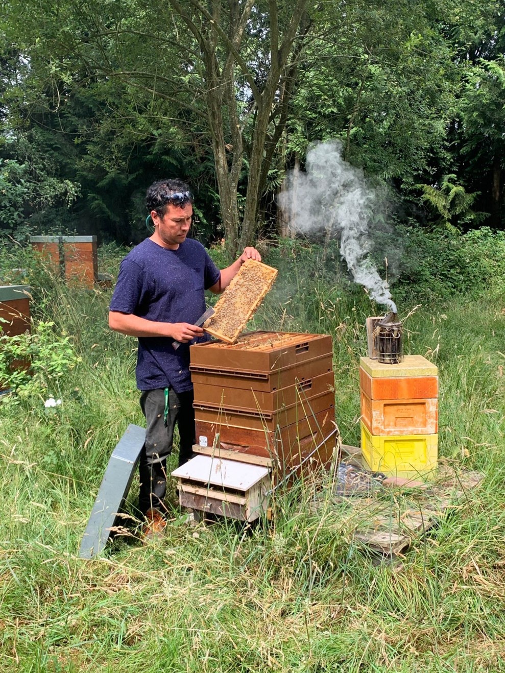 Sébastien, apiculteur récoltant en Bretagne