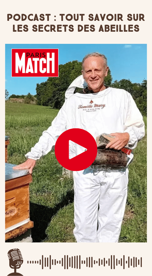 Podcast "Tout savoir sur les secrets des abeilles" - PARIS MATCH
